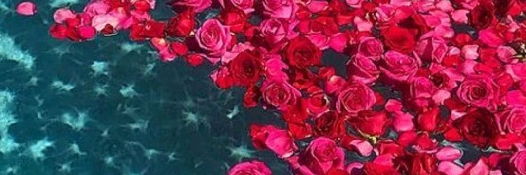 BeellaaaPereira's profile banner image