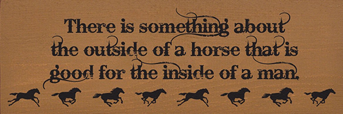 N.A. Jenkins banner