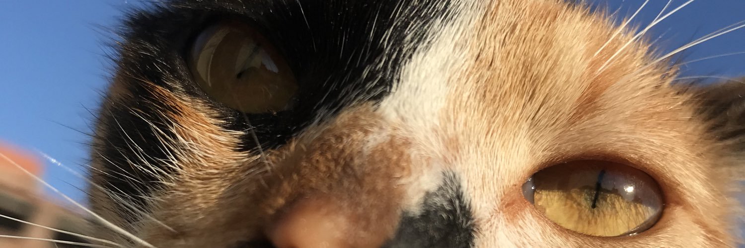 almapdrn's profile banner image