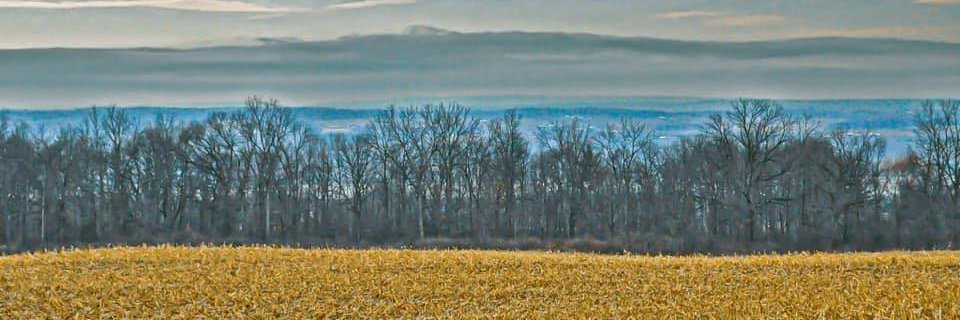 Blaine Friedlander banner