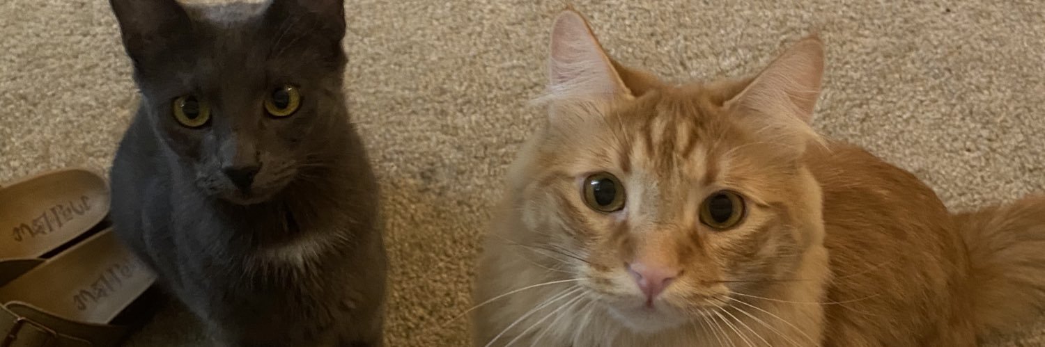 avenroger's profile banner image