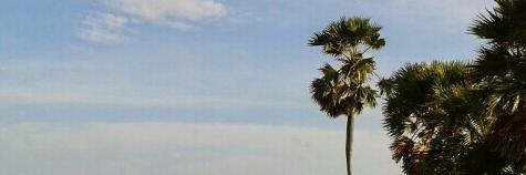 noom007's profile banner image