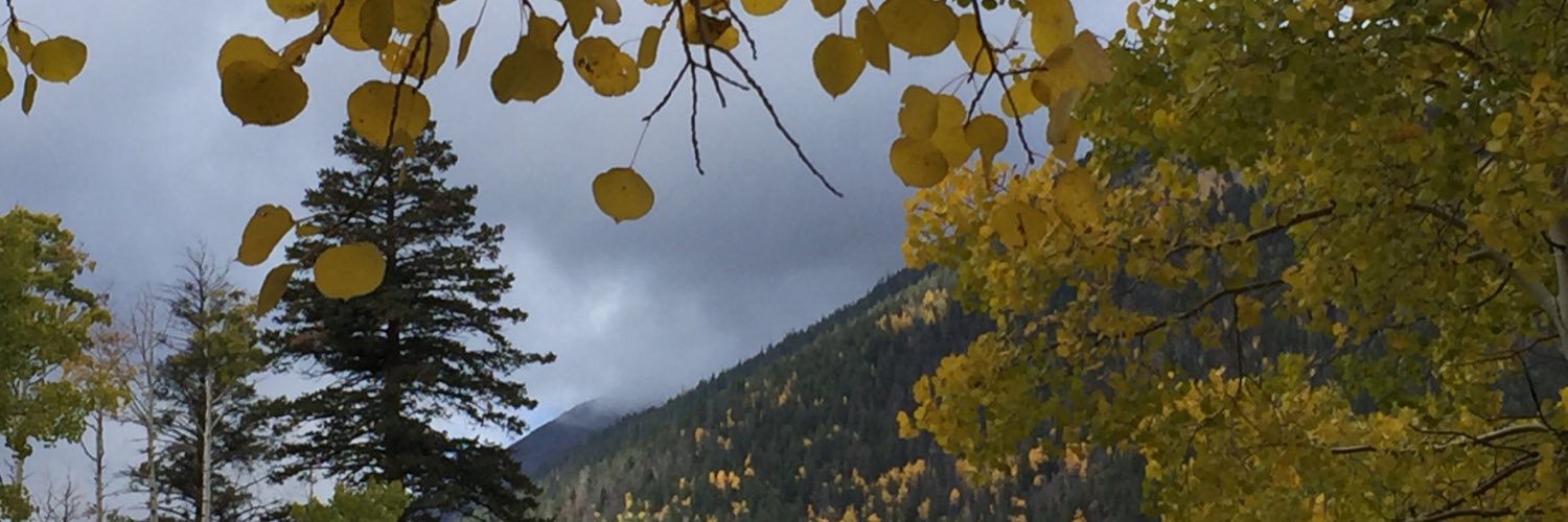 JJdick4's profile banner image