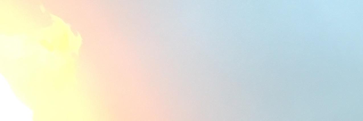 alledged human banner