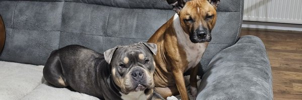 SnoopDegB Profile Banner