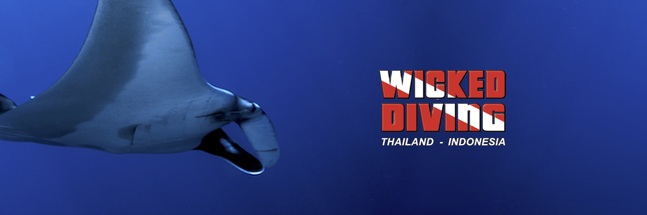 Wicked Diving banner