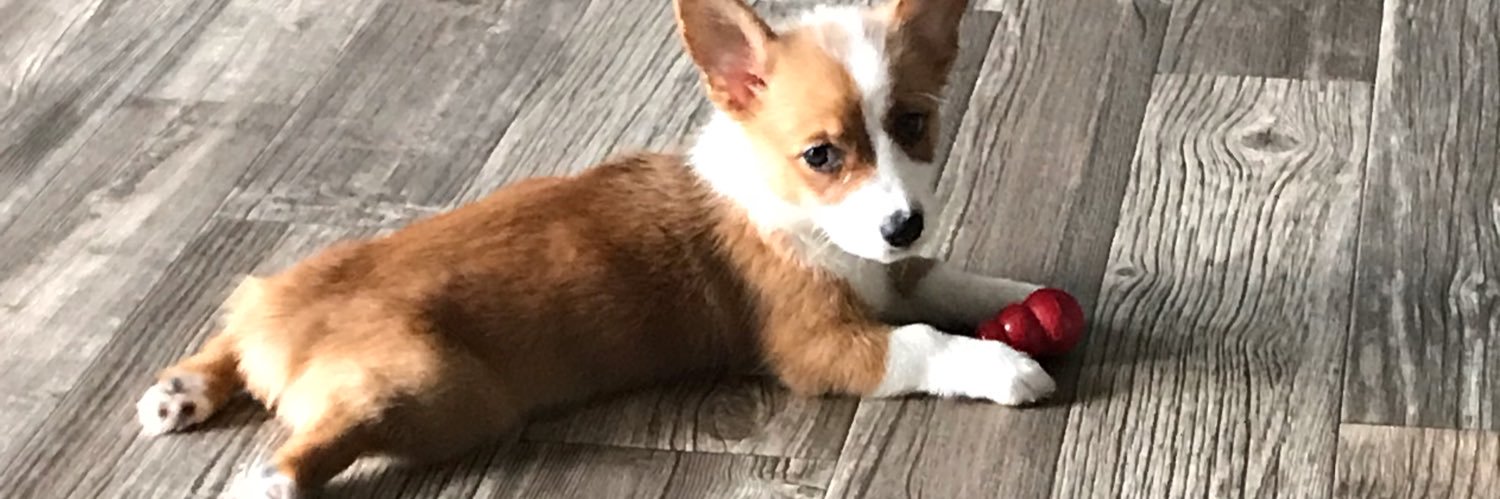 loganpemberton's profile banner image