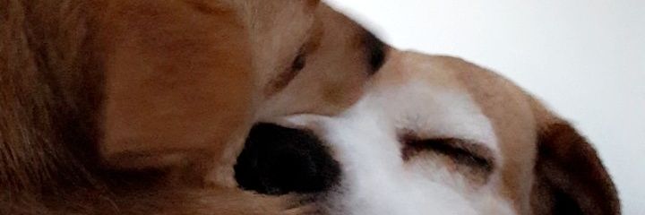 cazritch's profile banner image