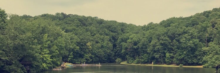_marykmock's profile banner image
