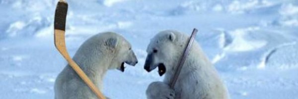 HeleneStJames Profile Banner