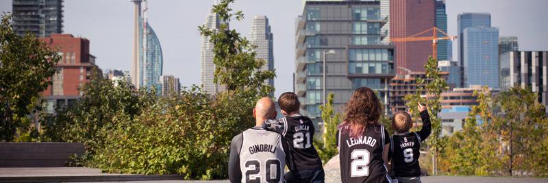 Alison Gibbins banner