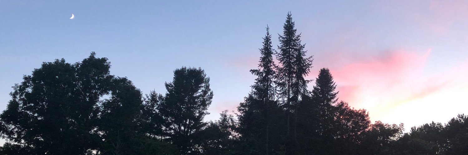 mondraymondray's profile banner image