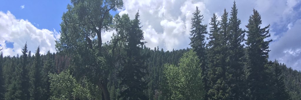 MendozaDad's profile banner image