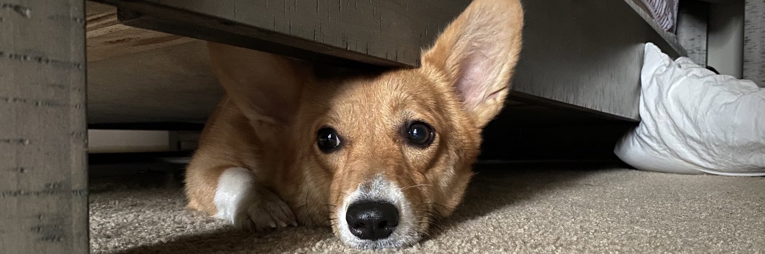 LilllRedd's profile banner image