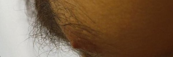 Unhomodice Profile Banner