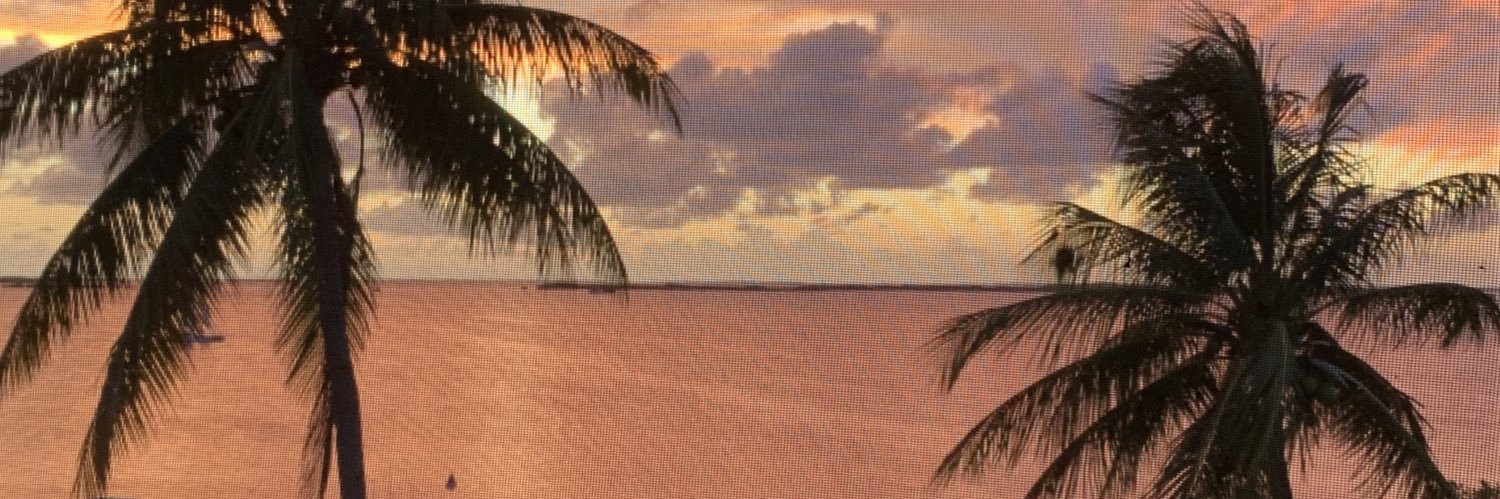 MiamiMize's profile banner image