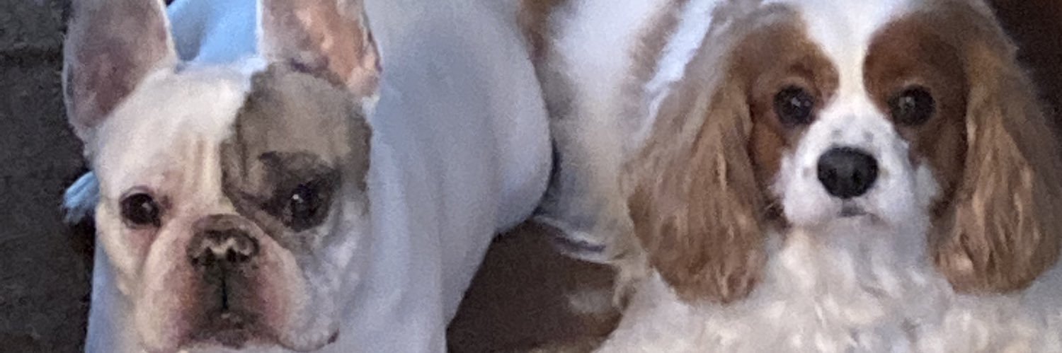 Mary Gates🌻 banner