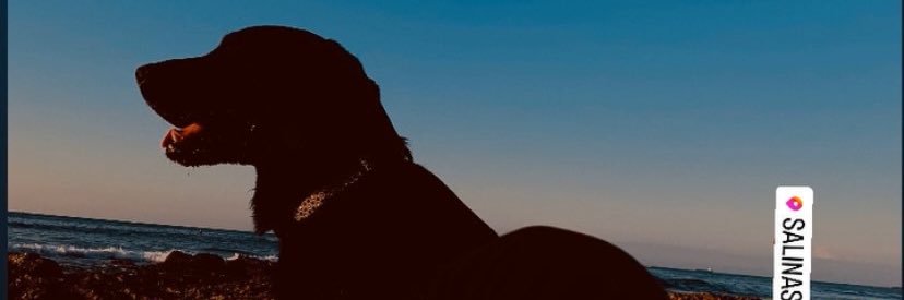 valecedeno15's profile banner image
