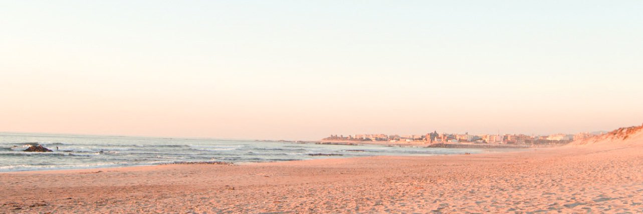patriciasilvari's profile banner image