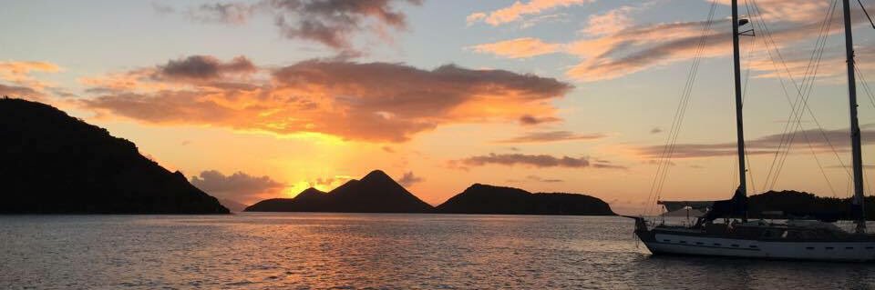 Sharon Bauserman Hogg banner