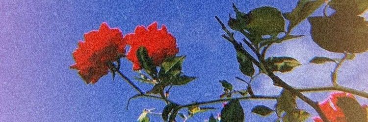 juliaim93's profile banner image