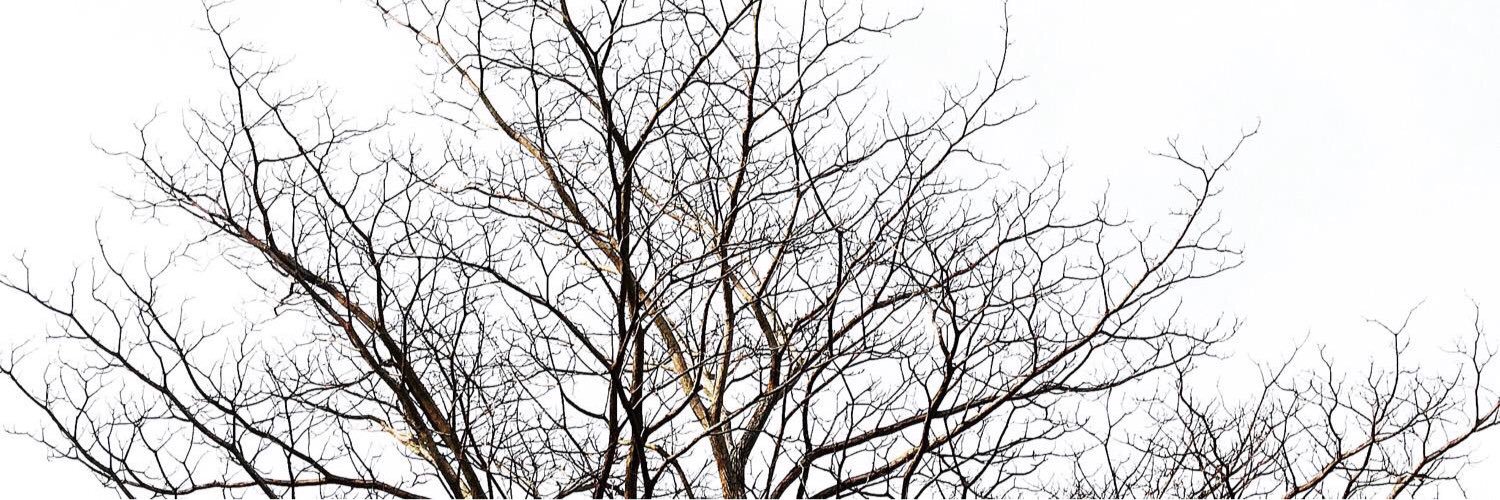 harithrahmanr's profile banner image