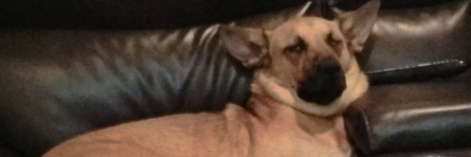 HaleyHad4's profile banner image