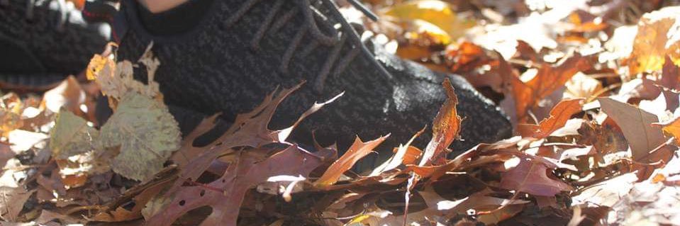 BEEFFF_'s profile banner image