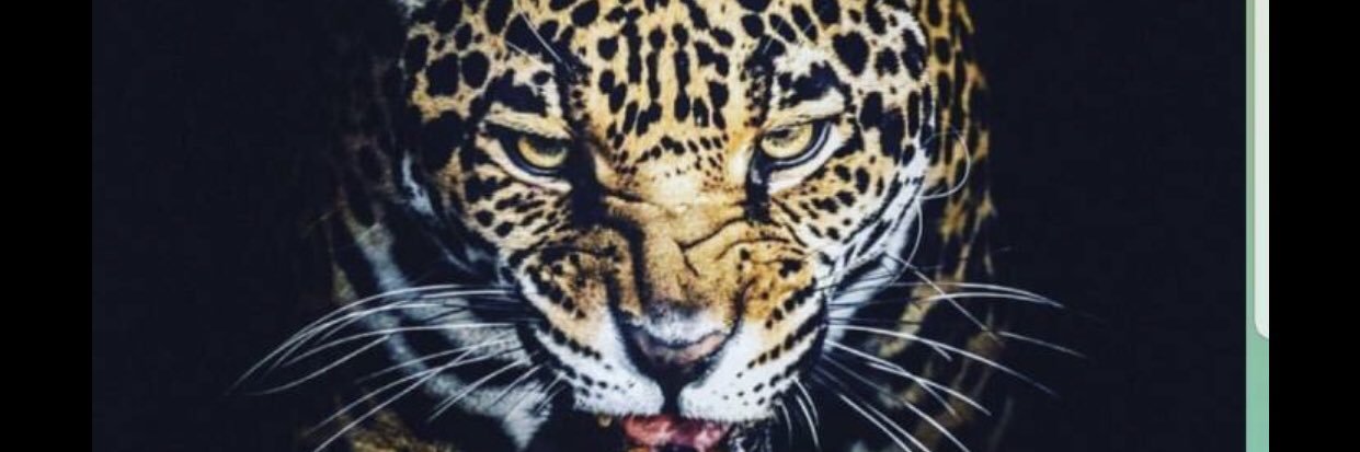 dreaming_3's profile banner image