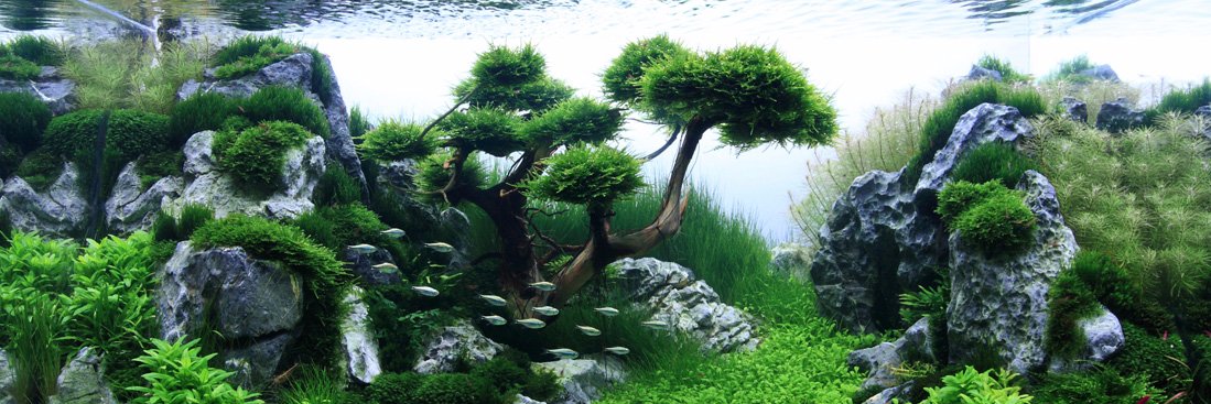 OznPab's profile banner image