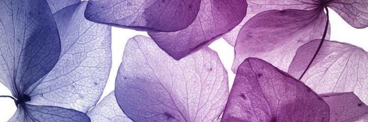 marce_aragOneza's profile banner image