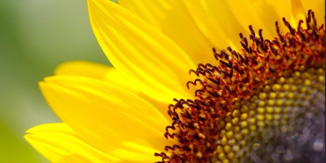 EmmDiane's profile banner image