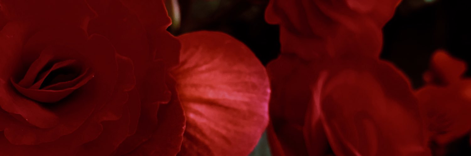 priscila martinez banner