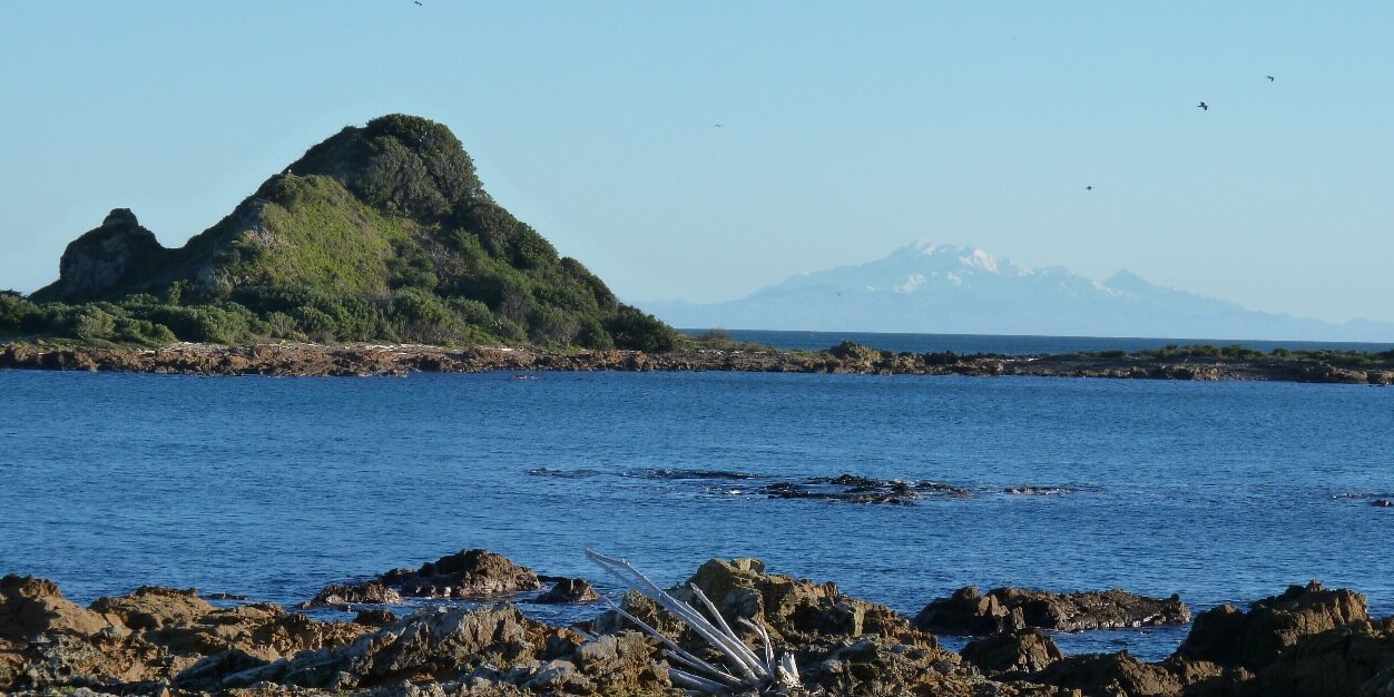 Cameron Knott (he/him/his) banner