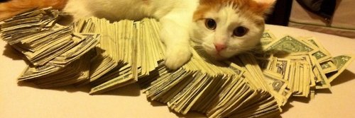 HappyCryptoCat's profile banner image
