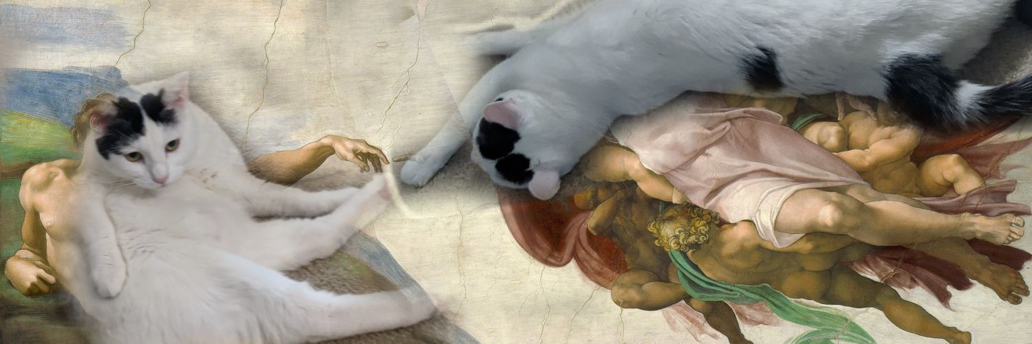 JDegraaf's profile banner image