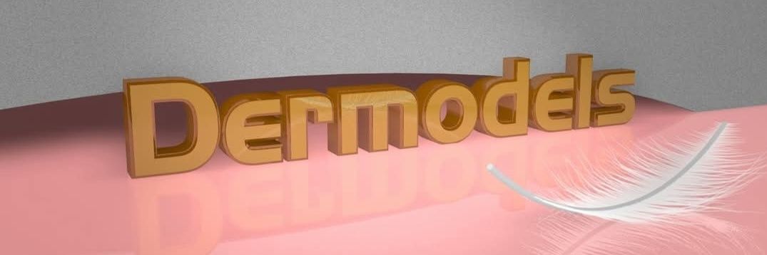 Dermodels's profile banner image
