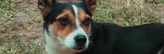 Cotychavez's profile banner image