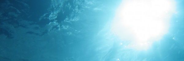 miyyyyan's profile banner image