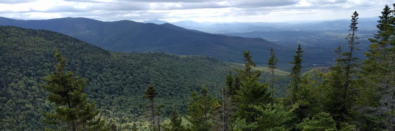 Go America Party 🦅 banner