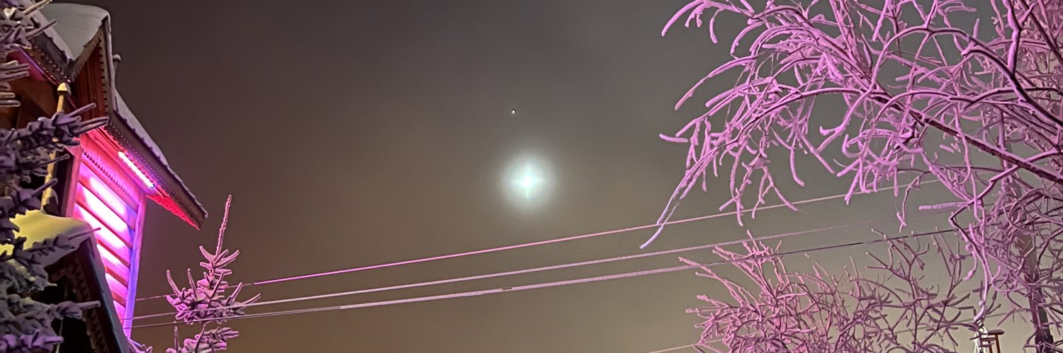 malsevi4's profile banner image
