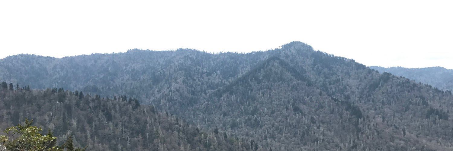 JeremyMoretz's profile banner image