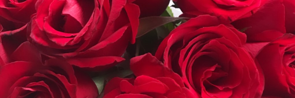 mayrasillva's profile banner image