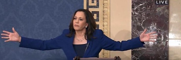 Jamie! 💛🪷 banner