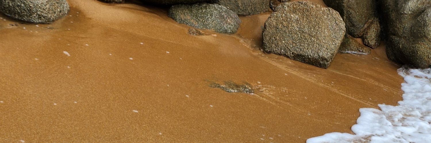 ⓈⒶⓃⓉⓎ banner