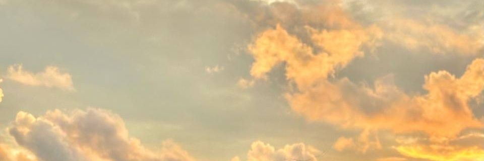 _decyrable's profile banner image
