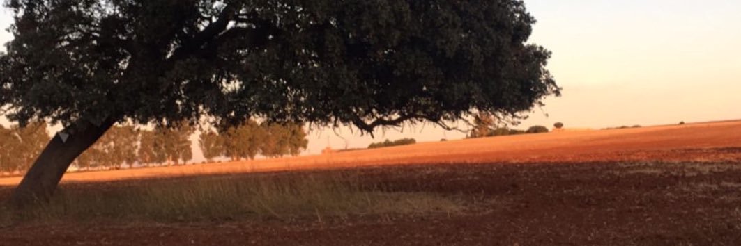 LauraMayo17's profile banner image
