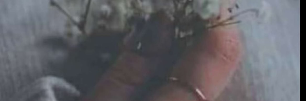 AaMoonflower's profile banner image