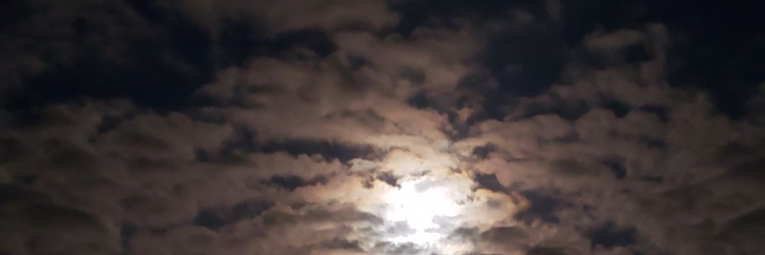 Skylar_Bean's profile banner image