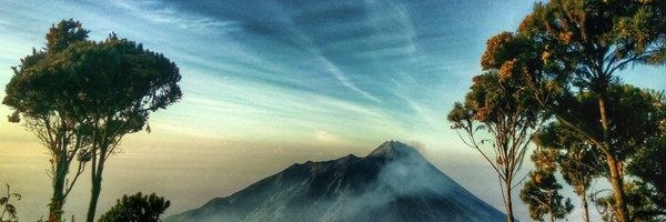 adadeka Profile Banner